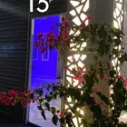 شاليه مخيم