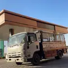 دينا نقل عفش