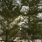 تصميم