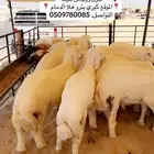 خرفان