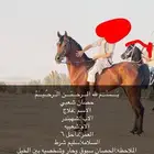 حصان للبيع