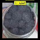 حفرالباطن