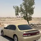 مكسيما قير عادي