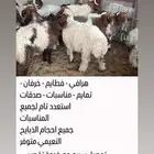 يوجد ذبايح للبيع مع خدمه تقصيب وتوصيل