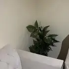 كنب استخدام اقل من سنه نظيف وجديد على السوم