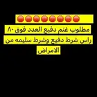 مطلوب غنم دفيع