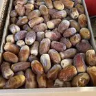 صقعي من مزارع الدلم