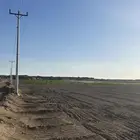 مزرعة شمال بريدة بكبد 80 كيلو صكين والمطلوب 250 الف