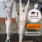 ملحمة ذبائح الحجاز-مخطط البدراني ( اقراء التعليقات و الصور)
