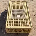 شبك طيور للبيع