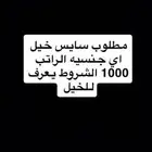 مطلوب سايس خيل
