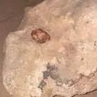حجر نادر من الهضب