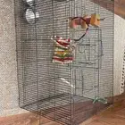 قفص حجم كبير للطيور