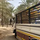 دينه متواجده في بيشه لنقل الداخلي والخارجي ب اسعار مناسبه