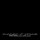 ابحث عن نخل للايجار كهرب اهم شي فالقطيف