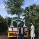 اشجار النيم
