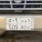 لوحة و د ب 509