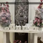 شبكة ملكة متكامله - مدخل ملكة متكامل ( شبكة ملكة )