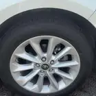 جنوط كورلا