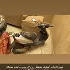 دباب نظيف