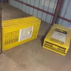 اقفاص - - كيس نشاره - كيس علف سقافكو