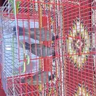 بلابل ثلاث للبيع