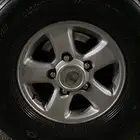 جنوط لاند 98