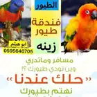 فندقة طيور زينه