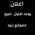 يوجد طليان البيع الموقع رنيه