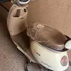 دباب بطة كهربائي