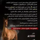 توفر غرف ايواء خيل وتسمينها