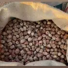 تمر للبيع للكبس ( المصانع )