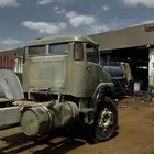 عايدي