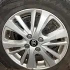 جنوط يارس