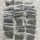 زعتر بري