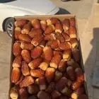 صقعي فاخر