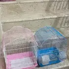 قفص عصافير