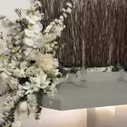 دزة (عربية ملكة ) للبيع