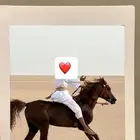 حصان كفوو جدا وسبوق وطرب حار مع الخيال وبارد مع البارد