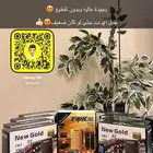 رسيفر فيه جميع القنوات ومن ضمنها الرياضية