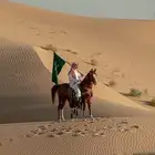 ( مطلوب خيل )