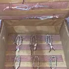 شبك الصيد الصقور