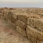 تبن حق العام الماضي شد 85. العدد 410