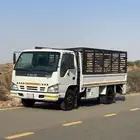 دينه ايسوزو 2008