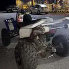 بانشي للبيع 6