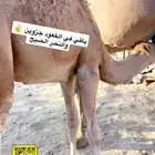 قعود شراكه على 10 اجزاء