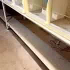 اقفاص اوربيه شبه جدد