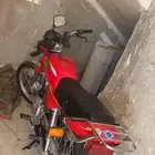 الليث