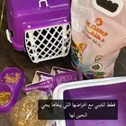 حيوانات