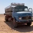 حصنان